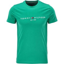Vêtements Homme T-shirts & Polos Tommy Hilfiger Tommy Logo Tee Vert