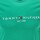 Vêtements Homme T-shirts & Polos Tommy Hilfiger Tommy Logo Tee Vert