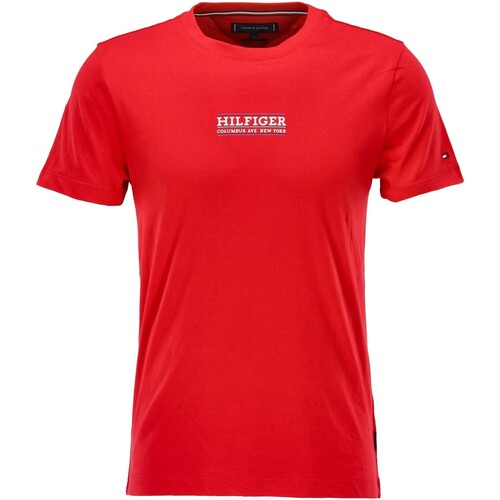 Vêtements Homme T-shirts manches courtes Tommy Hilfiger Small Hilfiger Tee Rouge