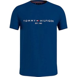 Vêtements Homme T-shirts & Polos Tommy Hilfiger Tommy Logo Tee Bleu