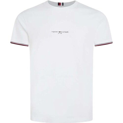 Vêtements Homme T-shirts & Polos Tommy Hilfiger Tommy Logo Tipped Te Blanc