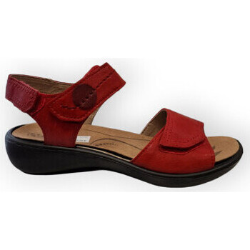 Chaussures Femme Sandales et Nu-pieds Westland ibiza 79 Rouge