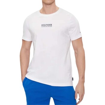 Vêtements Homme T-shirts & Polos Tommy Hilfiger Small Hilfiger Tee Blanc