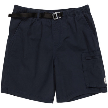 Vêtements Homme Shorts / Bermudas Element Chillin Travel 19