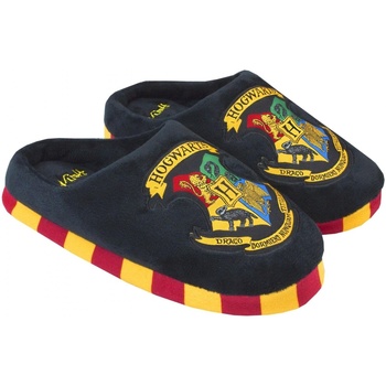 Chaussures Enfant Chaussons Harry Potter NS8164 Noir