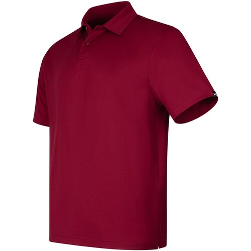 Vêtements Homme T-shirts & Polos Under Armour Hoodie T2G Multicolore