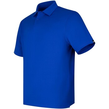 Vêtements Homme T-shirts & Polos Under Armour Hoodie T2G Bleu