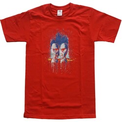 Vêtements Enfant T-shirts manches courtes Pink Floyd  Rouge