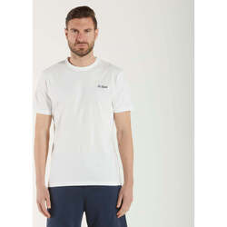Vêtements Homme T-shirts manches courtes Mc2 Saint Barth  Blanc
