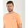 Vêtements Homme T-shirts manches courtes Mc2 Saint Barth  Orange