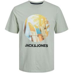 Vêtements Homme T-shirts manches courtes Jack & Jones  Vert