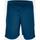 Vêtements Homme Shorts / Bermudas Acerbis Lokar shorts bleu Bleu