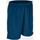 Vêtements Homme Shorts / Bermudas Acerbis Lokar shorts bleu Bleu