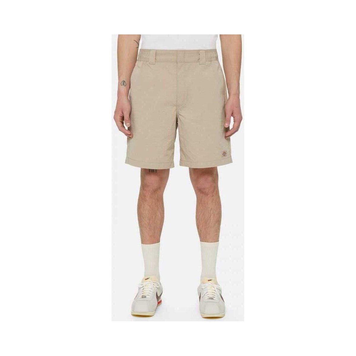 Vêtements Homme Shorts / Bermudas Dickies Fincastle short Beige