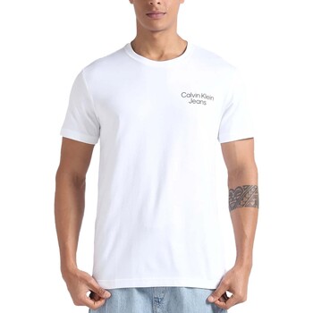 Vêtements Homme T-shirts manches courtes Ck Jeans Eclipse Graphic Tee Blanc