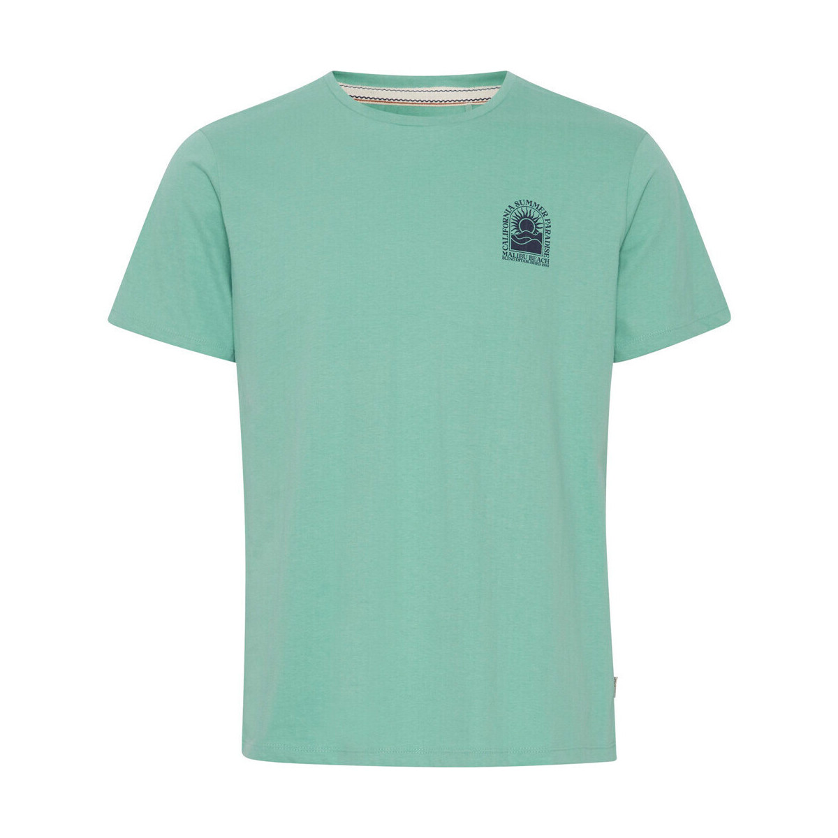 Vêtements Homme Polos manches courtes Blend Of America tee back images Vert