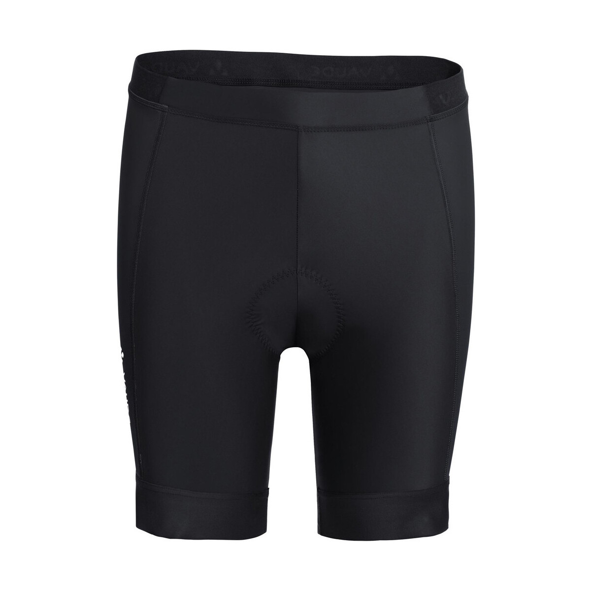 Vêtements Homme Shorts / Bermudas Vaude Mens Advanced Pants IV Noir