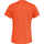 Vêtements Homme T-shirts manches courtes Salewa PUEZ MELANGE DRY M S/S TEE Orange