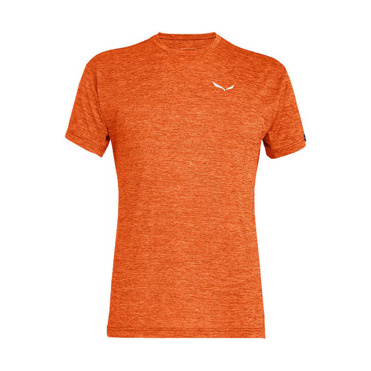 Vêtements Homme T-shirts manches courtes Salewa PUEZ MELANGE DRY M S/S TEE Orange