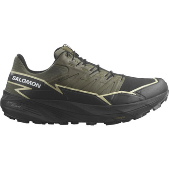 Chaussures Homme Running / trail Salomon ebony THUNDERCROSS GTX Vert