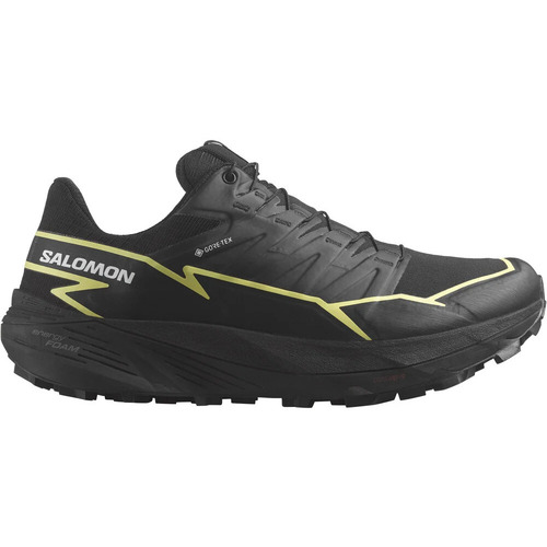 Chaussures Femme Running / trail amphib Salomon THUNDERCROSS GTX W Noir