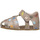Chaussures Garçon Sandales et Nu-pieds Falcotto Sandales semi-fermées en cuir avec dinosaures ALBY Gris