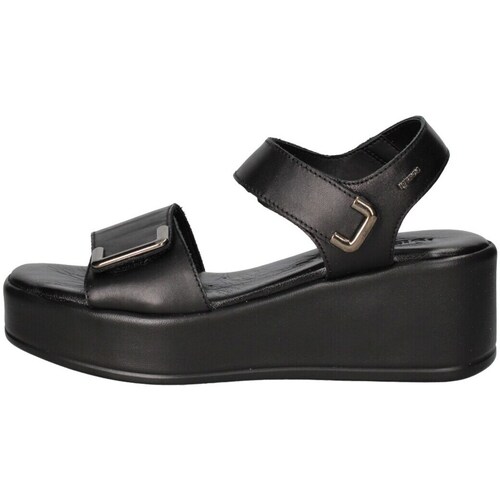 Chaussures Femme Sandales et Nu-pieds IgI&CO 5687300 Noir