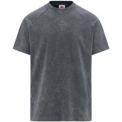 Vêtements Homme T-shirts manches courtes Kappa T-shirt Authentic Premium Lope Gris