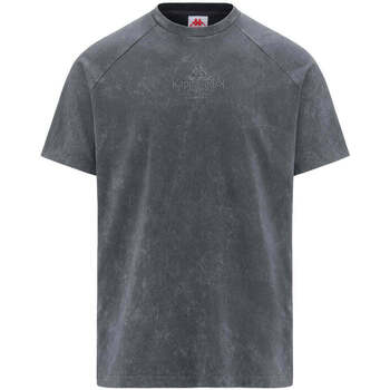 Vêtements Homme T-shirts manches courtes Kappa T-shirt Authentic Premium Lope Gris