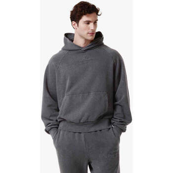 Vêtements Homme Sweats Kappa Hoodie Authentic Premium Lome Gris