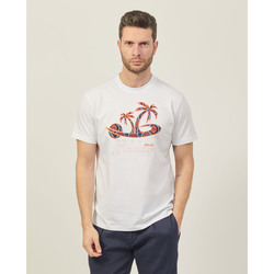 Vêtements Homme T-shirts & Polos Möve T-shirt  en coton avec imprimé palmiers Blanc