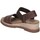 Chaussures Femme Sandales et Nu-pieds Skechers 114687 Marron