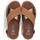 Chaussures Femme Sandales et Nu-pieds Ara Sandale 33516-09 Marron