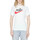Vêtements Homme T-shirts manches courtes Nike DZ3279 Blanc