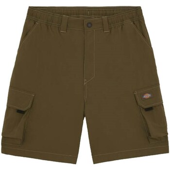 Vêtements Homme Cal Shorts / Bermudas Dickies DK0A4YACMGR1 Vert