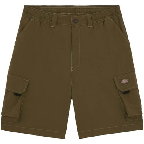 Vêtements Homme Cal Shorts / Bermudas Dickies DK0A4YACMGR1 Vert