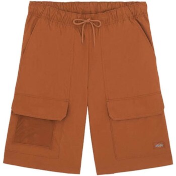 Vêtements Homme Cal Shorts / Bermudas Dickies DK0A4YSIH161 Autres