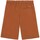Vêtements Homme Shorts / Bermudas Dickies DK0A4YSIH161 Autres