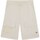 Vêtements Homme Shorts / Bermudas Dickies DK0A4YSIF901 Blanc