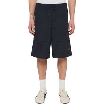 Vêtements Homme Cal Shorts / Bermudas Dickies DK0A4YSIDNX1 Bleu