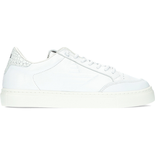 Chaussures Homme Baskets basses Cetti BASKETS  SPORTIVES C1307 Blanc