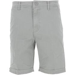 Vêtements Kort Shorts / Bermudas Sun Valley Bermuda Kaki