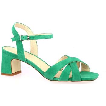 Chaussures Femme Veuillez choisir un pays à partir de la liste déroulante Sofia Costa Nu pieds cuir velours Vert