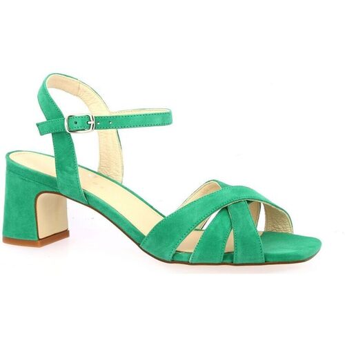 Chaussures Femme Lustres / suspensions et plafonniers Sofia Costa Nu pieds cuir velours Vert