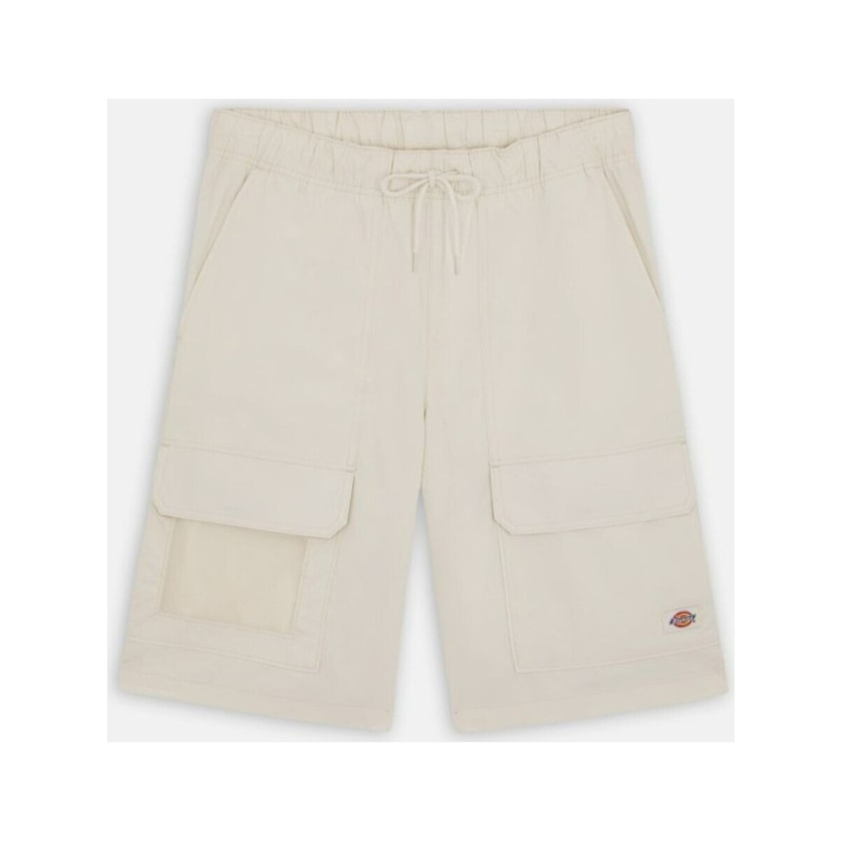 Vêtements Homme Shorts / Bermudas Dickies  Beige