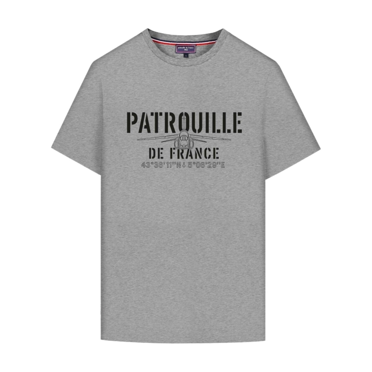 Vêtements Homme T-shirts & Polos Patrouille De France T shirt Aero Mercerise  Ref 62677 Gris Gris