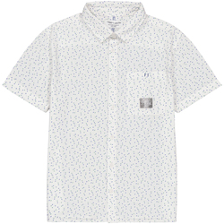 Vêtements Garçon Chemises manches courtes Teddy Smith Chemise coton cintrée Blanc