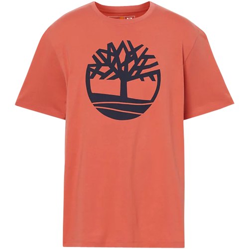 Vêtements Homme T-shirts & Polos Timberland Tee-shirt coton col rond Jaune