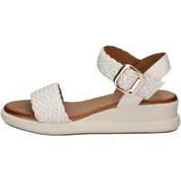 Chaussures Femme Sandales et Nu-pieds Inuovo A95012 Blanc