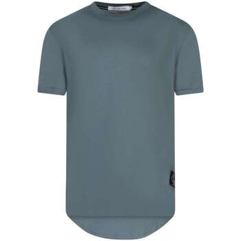 Vêtements Homme T-shirts manches courtes CK Collection 160996VTPE24 Bleu